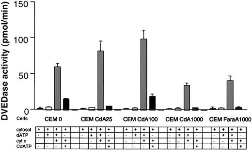 Fig. 2. Caspase activity in a cell-free system. / Cytosols were isolated using an STE buffer as described in “Materials and methods.” Cytosols were then incubated at 30°C for 1 hour in the absence or presence of 1 mM dATP or 1 mM CdATP and in the absence or presence of 40 nM cytochrome c. Extracts were then plated onto a 96-well plate, and caspase-3–like activity was quantitated with the DEVD-AMC reagent on a spectofluorometer as described previously. Results are characteristic of 3 independent experiments.