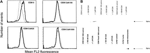 Fig. 3. Effect of CdA treatment on mitochondria in sensitive and resistant cell lines. / (A) Effect of CdA treatment on ΔΨmito. Cells were incubated in the absence (solid line) or presence (dotted line) of 1 μM CdA for 12 hours and then stained with the cationic, lipophilic, membrane potential-sensitive fluorochrome TMRE (25 nM) for 30 minutes. Samples were read on the FL2 channel of a Becton Dickinson FACScan. Data shown are representative of 3 independent experiments. (B) Effect of CdA treatment on release of cytochrome c from mitochondria into cytosol. Cells were incubated in the absence or presence of 100 nM or 1 μM CdA for 12 hours. Cytosols were isolated as described in “Materials and methods,” and the presence of cytochrome c was determined by Western blotting. Jurkat subcellular fractions were included as a positive control to illustrate that although there was no cytochrome c release in resistant cells, the protein was detectable in mitochondrial fractions of untreated Jurkat cells.