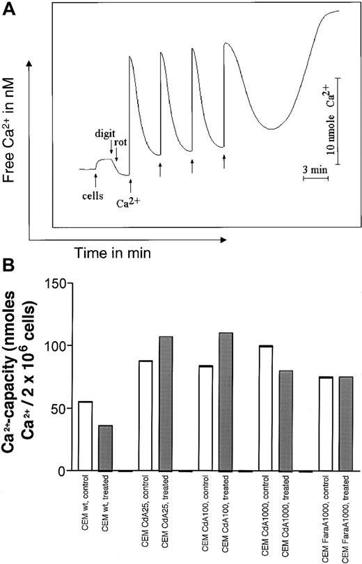 Fig. 5. Quantitation of Ca2+-induced MPT induction in sensitive and resistant cells. / (A) Illustration of method of detection. Curves were generated using a Ca2+-sensitive electrode. Two million cells were resuspended in a buffer containing 0.15 mM KCl, 5 mM KH2PO4, 1 mM MgSO4, 5 mM succinate, and 5 mM Tris, pH 7.4 (see “Materials and methods”). After 2 minutes, cells were permeabilized with 0.005% digitonin and 5 μM rotenone was added to keep mitochondrial pyridine nucleotides in a reduced state. Ca2+ addition, in 20 nM increments, resulted in a steep increase in Ca2+, followed by restoration of the initial level due to Ca2+ accumulation in mitochondria, at which point 20 nM Ca2+ was again added. The Ca2+ capacity was calculated by adding the total amount of Ca2+ that could be taken up in mitochondria before MPT induction occurred, and mitochondrial Ca2+ was released. (B) Ca2+ capacity in sensitive and resistant cells treated with diluent (open bars) or 1 μM CdA (gray bars) for 12 hours. MPT was measured as described in panel A, and the amount of Ca2+ required for MPT induction is expressed graphically. Data shown are representative of 3 separate experiments.