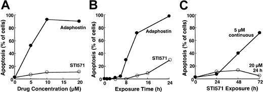 Fig. 1. Induction of apoptosis by adaphostin or STI571 in K562 cells. / (A) Cells were treated for 24 hours with the indicated concentration of adaphostin (closed circles) or STI571 (open circles), sedimented, fixed, stained with Hoechst 33258, and examined for apoptotic morphologic changes. (B) Cells were treated for the indicated length of time with 10 μM adaphostin (closed circles) or 20 μM STI571 (open circles), sedimented, fixed, stained with Hoechst 33258, and examined for apoptotic morphologic changes. Cells analyzed in this panel correspond to samples blotted in Figures 3 and 4. (C) Cells were incubated for 24 hours with 20 μM STI571, sedimented at unit gravity, and incubated in drug-free medium for up to 48 more hours (open circles). Alternatively, cells were exposed to 5 μM continuously for the indicated length of time (closed circles). At the end of the incubation cells were fixed, stained, and examined for apoptotic morphologic changes. Results shown in each panel are from 1 of at least 3 representative experiments.