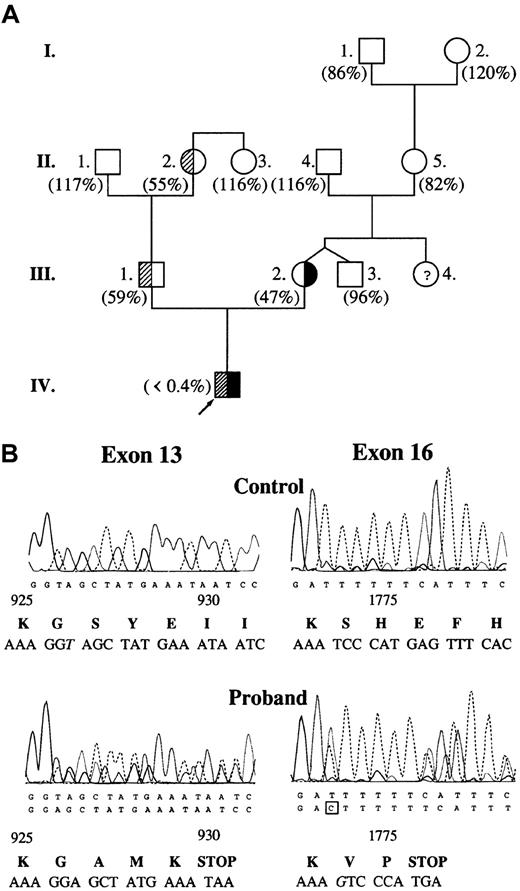 Fig. 1. Molecular genetic analysis of factor V deficiency. / (A) Pedigree of factor V–deficient family. Values in parentheses represent plasma factor V activities. Reference interval for factor V activity is 70% to 120%. Subjects with 2952delT and 5493insG mutations are demonstrated with shaded and solid areas, respectively. There was no indication of the presence of heterozygous factor V deficiency in the mother's family. (B) Identification of causative mutations in the DNA sequence of the proband. Exon 16 was sequenced on the reverse strand. Altered nucleotides are shown in italics. Predicted amino acid sequences around mutations are shown below the electropherograms. Amino acid residue numbering is based on the cDNA sequence published by Jenny et al.6