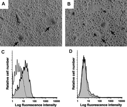 Fig. 4. Monocytes from healthy donors can differentiate into NLCs. / (A) Blood mononuclear cells from a patient with CLL were cultured for 14 days to allow for outgrowth of NLCs (arrows). (B) CD14+mononuclear cells were isolated from the blood of a healthy donor and then cultured with sorted CD19+ leukemia cells of a patient with CLL. This resulted in the outgrowth of large round adherent cells (arrows) that had the same morphology as that of NLCs. (C-D) Logarithmic fluorescence histograms of cells stained with a fluorochrome-conjugated MA2.1, a mAb specific for HLA-A2 (shaded histograms), or a fluorochrome-conjugated isotype control mAb of irrelevant specificity (open histograms). Panel C depicts the fluorescence of stained NLCs that developed from the nondepleted blood mononuclear cells of an HLA-A2+ patient with CLL. Panel D presents the fluorescence of NLCs that developed in cultures of CD19+ cells of an HLA-A2+ CLL patient cocultured with the CD14+ blood mononuclear cells of a healthy donor who was negative for HLA-A2. The data shown are representative of 3 different experiments.