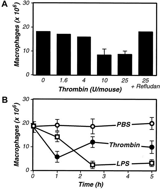 Fig. 2. Purified thrombin activates inflammation-elicited peritoneal macrophages in vivo. / (A) Dose response to thrombin. Four days after TG-stimulated macrophage elicitation (3 mL intraperitoneally), the indicated dosages of purified thrombin were administered, and macrophage numbers in peritoneal exudates were determined after 2.5 hours. (B) Kinetics of macrophage activation in response to thrombin and LPS. Four days after TG-stimulated macrophage elicitation, mice received intraperitoneal injections of thrombin (20 U, ●), LPS (1 μg, ■), or vehicle control (200 μL PBS, ○), and macrophage numbers in peritoneal exudates were determined at the indicated times. For A and B, the data represent the averages and standard deviations of 4 animals per group.