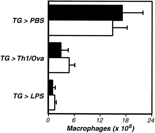 Fig. 3. The activation of inflammation-elicited peritoneal macrophages is not PAR-1 dependent. / PAR-1–deficient (−/−, ■) and littermate control (+/−, ▪) mice were compared, using the assays described in Figure 1. The data represent the averages and standard deviations of 5 animals per group. Neither TG-induced macrophage recruitment nor macrophage activation were significantly impaired in PAR-1–deficient mice.