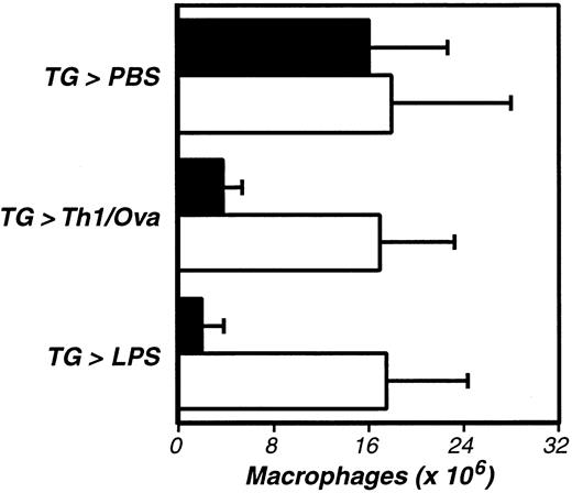 Fig. 4. The activation of inflammation-elicited peritoneal macrophages is fibrinogen dependent. / Fibrinogen-deficient (−/−, ■) and littermate control (+/−, ▪) mice were compared, using the assays described in Figure 1. The data represent the averages and standard deviations of 5 animals per group. TG-induced recruitment of inflammatory macrophages was not significantly impaired in fibrinogen-deficient mice, but macrophage activation was significantly diminished in the absence of fibrinogen (Th1/Ova, P < .002; LPS, P < .002). This experiment was repeated 3 times.
