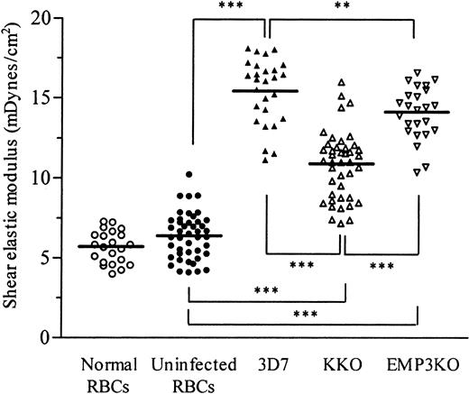 Fig. 2. Effect of KAHRP and PfEMP3 on the membrane shear elastic modulus of red blood cells infected by mature stages of. / P falciparum. Membrane shear elastic modulus of normal, uninfected, and parasitized RBCs was measured by micropipette aspiration in 5 (for normal RBCs) to 8 (for uninfected RBCs and PRBCs) separate experiments as described in “Materials and methods.” Different pipettes were used throughout the study, but in each experiment the same pipette was used to measure uninfected RBCs and PRBCs. Normal RBCs were from freshly drawn human venous blood and were suspended in fresh parasite culture medium supplemented with 2% bovine serum albumin. Uninfected RBCs were nonparasitized RBCs from each of the 3 different parasite cultures. Each point represents the shear elastic modulus for an individual RBC. Solid horizontal bars represent the mean of all data in each group. Significant differences between pairs of parasite clones are shown as **(P < .01) and ***(P < .001) by the Mann-Whitney Utest.