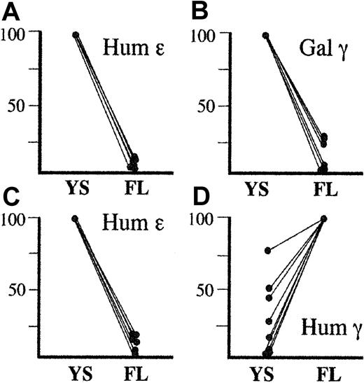 Fig. 2. Combined developmental profiles of human ε, human γ, or galago γ transgenes driven by HS2 and HS3. / Panels A and B represent expression of the human ε (A) and galago γ (B) transgenes in HS2-ε-galγ constructs (this study) and HS3-ε-galγ constructs.3 For all these lines, the human ε and galago γ genes were expressed highly in embryonic life and were silenced in fetal life. Thus, in panels A and B, transgene expression levels in embryonic life is set to 100% for each line, and the level seen in fetal life is expressed relative to the embryonic level for that line. Panels C and D represent expression of the human ε (C) and human γ (D) transgenes in HS2-ε-humγ constructs3 and in HS3-ε-humγ constructs.4 For the ε gene, embryonic levels for each line are set at 100%, and fetal levels are normalized to this level as for panels A and B. For the human γ gene, however, expression was consistently highest in the fetal liver. Thus, the fetal expression level was set at 100%, and the embryonic level in each line was normalized to this level. Although human γ gene expression is variable in embryonic life, the difference in expression profile between the human γ gene and the galago γ gene is strikingly consistent.