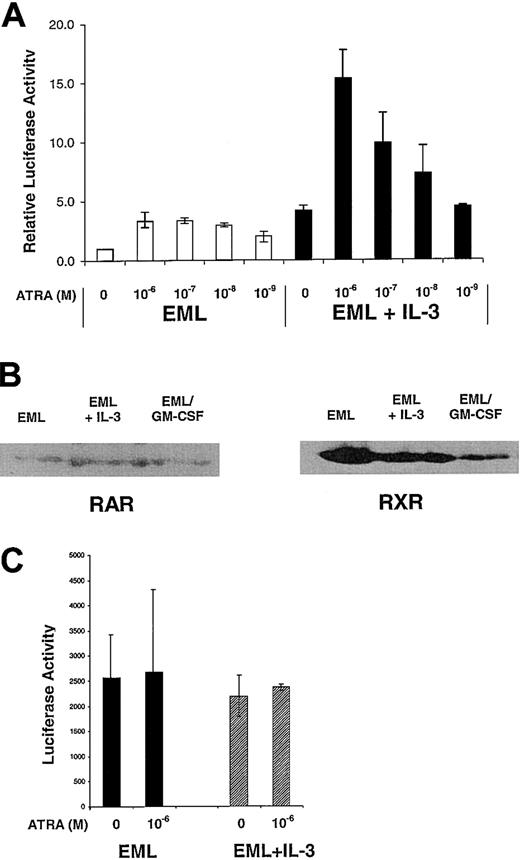 Fig. 2. IL-3 enhances the transcriptional activity of endogenous RARs in EML cells. / (A) EML cells with or without overnight (15- to 18-hour) treatment with IL-3 were transfected with the RXR-RAR–responsive RARE tk-LUC reporter, and relative luciferase activity was determined in cell extracts after 5 hours of culture in the indicated concentration of ATRA. Calculated luciferase activity was normalized for transfection efficiency using a β-galactosidase reporter regulated by the β-actin promoter as described in “Materials and methods.” Results are the average of at least 3 independent experiments. (B) Western blot analysis of RXRα and RARα expression in the EML cells with or without overnight IL-3 and in EML/GM-CSF cells. (C) Relative luciferase activity of an RSV-luciferase reporter transfected into EML cells with or without overnight IL-3 and incubated for 5 hours in the presence or absence of ATRA (10−6 M). Results are the mean of at least 3 independent experiments.