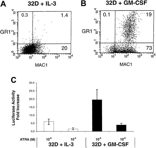 Fig. 8. Enhanced RAR activation in GM-CSF–treated 32D cells. / Shown are FACS-generated histograms of Mac-1 (Cd11b) and Gr-1 expression in (A) 32D cells cultured in IL-3 alone and (B) 32D cells cultured in GM-CSF alone (6 days). (C) The 32D cells cultured in either IL-3 or GM-CSF were transfected with the RXR/RAR-responsive RARE tk-LUC reporter, cultured for 5 hours in the presence or absence of the indicated concentration of ATRA, followed by determination of luciferase activity. The fold activation represents the ratio of uninduced versus induced luciferase activity for the different concentrations of ATRA.