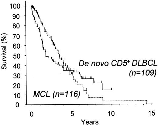 Fig. 5. Overall survival for patients with de novo CD5+ DLBCL and with cyclin D1+ MCL. / De novo CD5+ DLBCL showed an initially more aggressive clinical course than MCL, but the survival curve crossed that of MCL 5 years after diagnosis and showed superior survival thereafter.