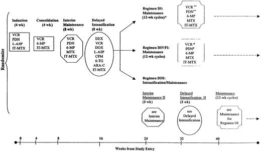 Fig. 1. Therapy on CCG-1891. / Eligible enrolled patients were randomized at study entry to receive standard therapy with 1 delayed intensification phase (DI); standard therapy with 2 delayed intensification phases (DDI); or standard therapy with 1 delayed intensification phase and intensified vincristine and prednisone pulses during maintenance (DIVPI). Cumulative doses of anthracyclines were 75 mg/m2 in DI and DIVPI and 150 mg/m2 in DDI, and cumulative doses of cyclophosphamide were 1000 mg/m2 in DI and DIVPI and 2000 mg/m2 in DDI. There were 15 doses of L-asparaginase in DI and DIVPI and 21 in DDI. There were 8 doses of cytarabine at 75 mg/m2 in DI and DIVPI and 16 in DDI. DI prescribed 31 doses of 1.5 mg/m2 of vincristine for girls and 43 for boys; DIVPI, 41 doses for girls and 57 for boys; DDI, 34 doses for girls and 47 for boys. In DI, excluding tapers, there were 138 days of corticosteroid for girls and 198 for boys; in DIVPI, 188 days for girls and 268 for boys; and in DDI, 159 days for girls and 219 for boys. VCR indicates vincristine; PDN, prednisone; L-ASP, L-asparaginase; IT-MTX, intrathecal methotrexate; MP, mercaptopurine; MTX, methotrexate; DEX, dexamethasone; DOX, doxorubicin; CPM, cyclophosphamide; TG, thioguanine; ARA-C, cytosine arabinoside; *, total duration of therapy was 2 years for girls and 3 years for boys on all regimens; **, pulses given every 4 weeks; and #, pulses given every 3 weeks.