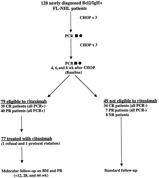 Fig. 1. Treatment scheme and flow chart of the study. / One hundred twenty-eight newly diagnosed patients with FL with a PCR-proved rearrangement in the BM and PB at diagnosis were treated with CHOP chemotherapy. A PCR analysis was repeated on BM (▪) and PB (●) after the third cycle, as well as 4 and 6 weeks after the sixth cycle of chemotherapy (baseline). In case of discrepancies between the molecular results at baseline, a third assay was performed (8 weeks) after CHOP and this result conclusively established the positivity or negativity of the molecular marker. Only clinically responsive but persistently PCR-positive patients were eligible for rituximab treatment.