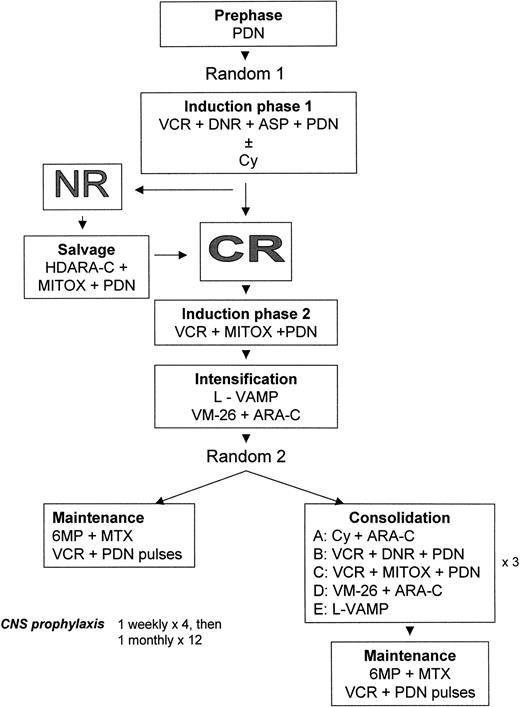 Fig. 1. GIMEMA ALL 0288 treatment plan. / The trial includes 2 randomizations. Total post-CR treatment duration is 30 months.