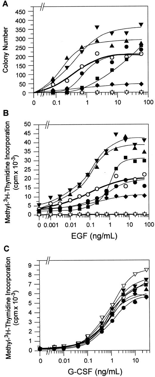Fig. 3. Proliferation and differentiation response of EG-R–expressing bone marrow cells. / (A) Total number of colonies per plate stimulated in response to increasing concentrations of EGF (0-60 ng/mL) in agar was counted on day 4, as described in “Materials and methods.” Colony numbers were corrected for infection efficiency. Data represent the average of 3 independent experiments. (B) Bone marrow cells were incubated in increasing concentrations of EGF (0-60 ng/mL) for 3 days, containing methyl–3H-thymidine for the last 20 hours of culture. Proliferation response was measured in counts per minute (cpm) and was corrected for infection efficiency. This figure is a representative of 2 independent experiments. (C) Proliferation response of bone marrow cells to G-CSF (0-30 ng/mL) as a control was also measured. This figure is representative of 2 independent experiments. WT, (○); Y704→F, (●); Y729→F, (▴); Y744→F, (▾); Y764→F, (♦); Ynull, (▪); P640, 642→S, (▵); and vector alone (▿).