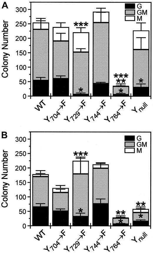 Fig. 5. Absolute number of agar colony types stimulated with EGF. / Colony composition stimulated with (A) 20 ng/mL and (B) 0.7 ng/mL EGF by each receptor construct is shown. Differentially shaded bars represent the number of each colony type. Numbers of G (*), GM (**), or M (***) colonies stimulated by the receptor mutant are significantly different from those stimulated by the WT receptor. Data are presented as the mean ± SE of 3 independent experiments.