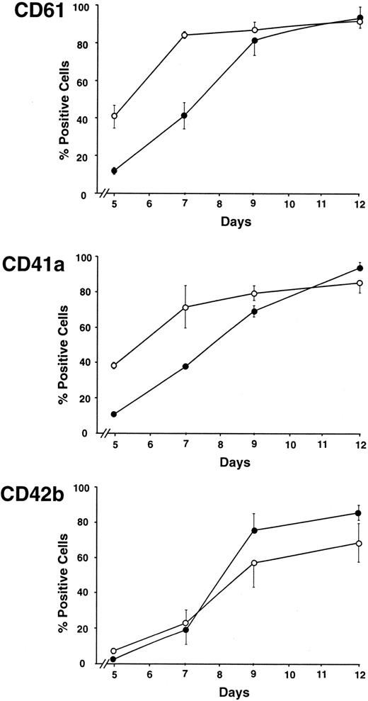 Fig. 2. Delay in the appearance of CD61 and CD41a expression in MKs generated from CB with respect to PB. / Comparative analysis of the megakaryocytic markers CD61, CD41a, and CD42b during MK differentiation of the CD34+ cells cultured in the presence of TPO (100 ng/mL). Cells were labeled with either PE- or FITC-conjugated MoAbs and analyzed by flow cytometry. ●, CB; ○, PB. (Mean ± SEM values from 5 experiments.)