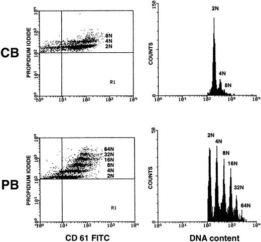 Fig. 6. Low DNA content of MKs differentiated from CB in comparison with PB-derived CD34+ cells. / CD34+ cells were cultured for 12 days in serum-free media with TPO (100 ng/mL). MK ploidy was measured by a double-staining technique and flow cytometry (left panels). Histograms of DNA content (right panels) were obtained gating the cells double-labeled with anti-CD61 MoAb and propidium iodide (see also “Materials and methods”). Representative experiment of 5 independent ones is presented.