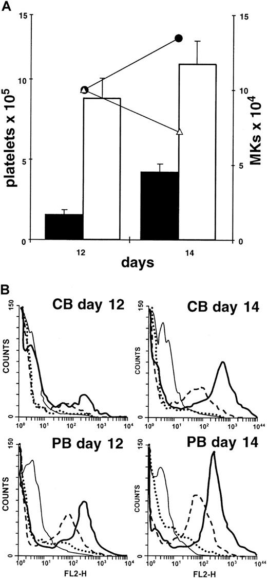 Fig. 7. Reduced level of platelet production in CB-derived MK culture. / (A) Platelets released from CB- (▪) and PB-derived (■) cultures. Platelets were enumerated using anti-CD61 FITC-conjugated MoAb; see also panel B. Histograms were the mean ± SD of 5 independent experiments. Statistical significance was established by using the Student t test, P < .002. Corresponding CB (●) and PB (▵) megakaryocytic growth is indicated (right axis); see also Figure 4. (B) Platelets obtained from CB-MKs (upper panels) and PB-MKs (bottom panels) were analyzed at days 12 and 14 by flow cytometry. In vitro–produced platelets were evidenced by using anti-CD61 FITC-conjugated MoAb (solid line). Expression of P-selectin on the surface of platelets before (dotted line) and after (dashed line) stimulation with 2 U/mL thrombin at 37°C for 15 minutes was analyzed by using anti-CD62 PE-conjugated MoAb. Isotype control is also presented (thin line). Representative experiment of 5 independent ones is presented.
