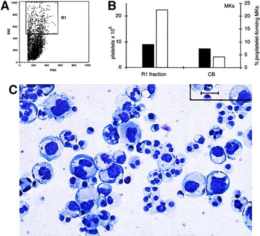 Fig. 8. Ploidy MKs release more platelets than diploid MKs. / (A) MKs from PB culture were sorted on the basis of the cell size at day 8. The R1 obtained population (∼10%) was recultured in serum-free medium in the presence of TPO (100 ng/mL). (B) Morphology of the megakaryocytic-sorted fraction after Wright-Giemsa staining (Bar = 30 μm). (C) ▪: percentage of proplatelets forming MKs on PB-R1 fraction and day 12 CB-derived MKs. ■: platelets produced by the same populations were enumerated at days 12 and 14, respectively. (See also “Materials and methods” and “Results.”)