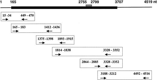 Fig. 1. A schematic representation of the PLC-β2 coding sequence and the primers used to amplify PLC-β2 cDNA. / The numbering is as per Park et al.12 The coding sequence is shown by the filled area (165 nt to 3707 nt). Sequence 2755-2799 represents alternative splicing of the PLC-β2 mRNA, resulting in 2 variants with and without this sequence.7