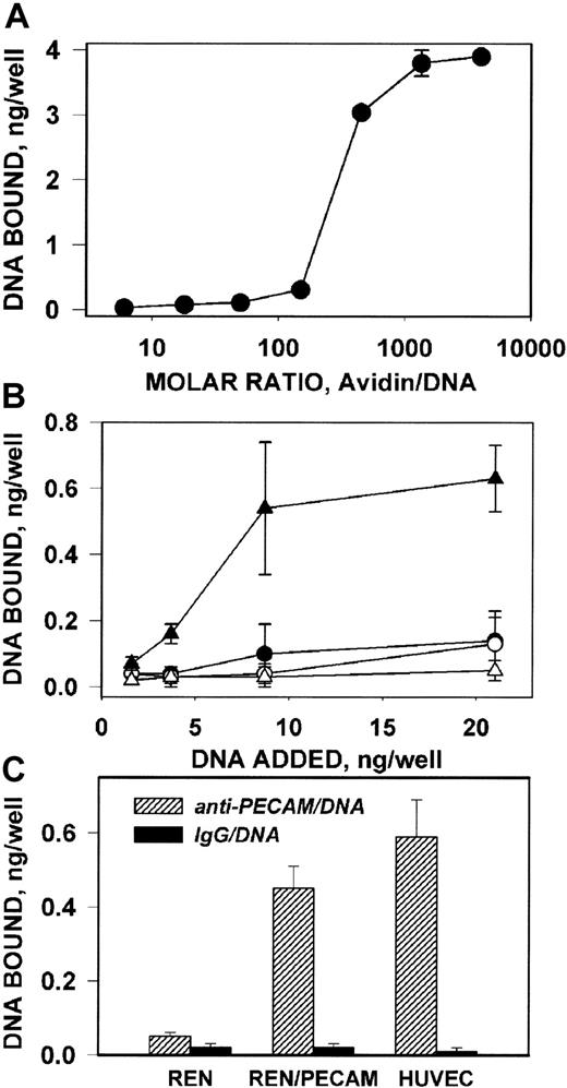 Fig. 6. Antigen-binding properties of anti-PECAM/avidin/DNA complex. / (A) Binding of 32P-DNA/avidin complex, formed at various molar ratios, to plastic wells coated with biotinylated IgG. (B) Binding of anti-PECAM/avidin/32P-DNA (triangles) and IgG/avidin/32P-DNA (circles) complexes to plastic wells coated with recombinant PECAM (closed symbols) or albumin (open symbols). (C) Binding of anti-PECAM/avidin/32P-DNA (hatched bars) and IgG/avidin/32P-DNA (closed bars) complexes to wells with PECAM-expressing cells (REN/PECAMs and HUVECs) or control cells (REN). The data are shown as amount of 32P-DNA bound per well, mean ± SD, n = 3.