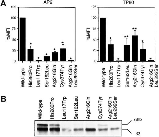 Fig. 4. Effects of β3 missense mutations on the expression of αIIbβ3. / (A) Flow cytometric analysis of αIIbβ3on the transfected cell surface. Wild-type β3 cDNA or each mutant β3 was cotransfected into 293 cells with wild-type αIIb cDNA. The binding of AP2 or TP80 to the transfected cells was analyzed by flow cytometry 2 days after transfection. Results were mean ± SD from 3 separate experiments and expressed as percent MFI relative to that of wild-type αIIbβ3. Two-tailed P values for paired samples were obtained by the Student t test (*P < .01, **P < .05). (B) Immunoprecipitation analysis of biotin surface-labeled transfected cells. The transfected cells were surface-labeled with biotin 2 days after transfection. Immunoprecipitation was then performed using AP3. Precipitates were separated by 6% SDS-PAGE under reducing conditions. After transfer to a nitrocellulose membrane, precipitated proteins were detected by chemiluminescence.