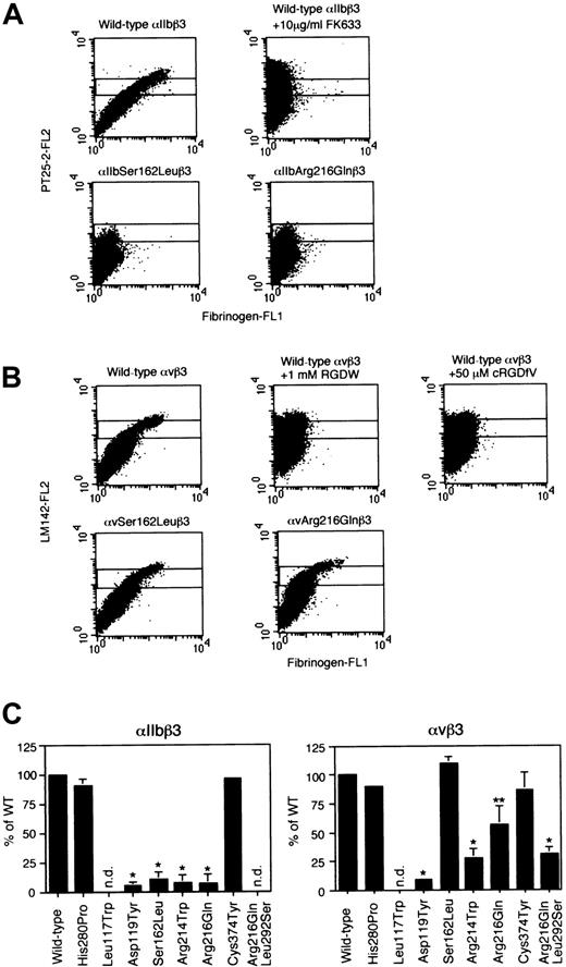 Fig. 7. Soluble fibrinogen binding to mutant β3integrins. / (A) Dot plots represent FITC-fibrinogen (horizontal) and PT25-2 (vertical) binding to αIIbβ3-transfected cells. The αIIbβ3-transfected cells were treated with 10 μg/mL PT25-2 (an αIIbβ3-activating antibody) for 30 minutes on ice in the presence or absence of 10 μM FK633 (an αIIbβ3 antagonist). After washing, cells were incubated with 150 μg/mL FITC-fibrinogen and phycoerythrin-conjugated antimouse IgG for 25 minutes at room temperature. Then, after 5 minutes incubation with propidium iodine, cells were washed and analyzed by flow cytometry. Because the expression levels of β3 integrins were different in each mutation, we gated and analyzed cells showing the same expression levels of αIIbβ3 for fibrinogen binding. (B) Dot plots represent FITC-fibrinogen (horizontal) and LM142 (vertical) binding to αvβ3-transfected cells. The αvβ3-transfected cells were treated with 1 mM MnCl2 for 30 minutes on ice in the presence or absence of 1 mM RGDW or 50 μM c(RGDfV). LM142 (10 μg/mL) was added simultaneously to the tubes to monitor expression of αvβ3. The following procedures were the same as described above. (C) Fibrinogen binding to αIIbβ3 mutants. Results were mean ± SD from 3 separate experiments and expressed as percent MFI relative to that of wild-type αIIbβ3. Two-tailedP values for paired samples were obtained by the Student t test (*P < .01, **P < .05). (D) Fibrinogen binding to αvβ3 mutants. Results were mean ± SD from 3 separate experiments and expressed as percent MFI relative to that of wild-type αvβ3. Two-tailed Pvalues for paired samples were obtained by the Student ttest (*P < .01, **P < .05).