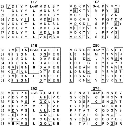 Fig. 8. Comparison of integrin β3 amino acid sequences with other integrin β subunits. / The boxed areas are well-conserved residues between several β subunits. Missense mutations examined in this study are also indicated. Leu117 and Cys374 in β3 are well-conserved residues, while Ser162, Arg216, His280, and Leu292 in β3 are rather diverse between 8 β subunits.