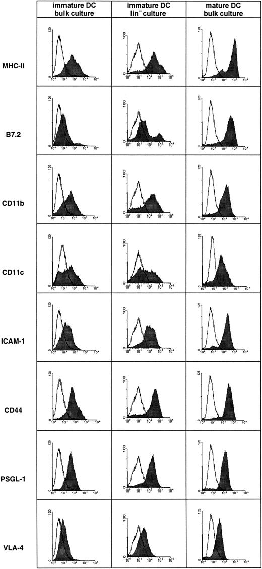 Fig. 1. Surface phenotype of in vitro–derived mouse DCs. / DCs were derived from bone marrow of Balb/c mice that had been depleted (Lin− culture) or not depleted (bulk culture) of Lin+ cells. Cells cultured for 5 days in the presence of GM-CSF and IL-4 gave rise to immature DCs, whereas cells cultured for 9 days in identical medium and with LPS added for the last 24 hours gave rise to mature DCs. Flow cytometry was performed as described in “Materials and methods.” The mature and immature DCs depicted here originated from aliquots of the same bone marrow preparation.