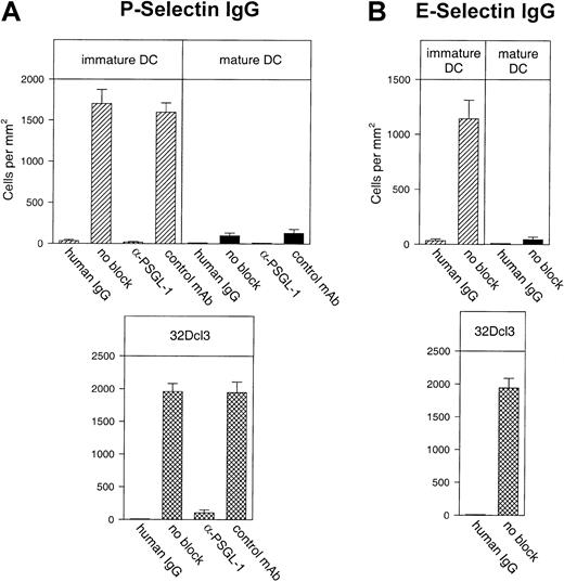 Fig. 7. Binding of dendritic cells to P- and E-selectin in a static adhesion assay. / Immature and mature DCs from Balb/c mice were allowed to bind to immobilized P-selectin–IgG (A) or E-selectin–IgG (B) in 96-well microtiter plates. The 32Dcl3 cells served as a positive control. Numbers on the y-axis refer to the number of bound cells/mm2 remaining in the wells after washing. For antibody-blocking studies, cells were preincubated either with 10 μg/mL 4RA10 (α-PSGL-1) or 10 μg/mL PS/2 against VLA-4 (control mAb). Human IgG refers to wells coated with plain human IgG1 as negative control.