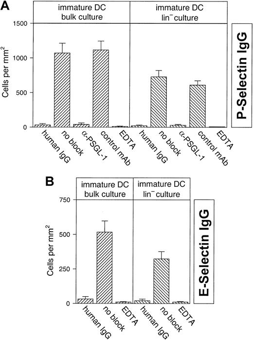 Fig. 8. Binding of lineage-depleted and nondepleted immature DCs to P- and E-selectin under static conditions. / DCs were derived from bone marrow of Balb/c mice that had been depleted (Lin− culture) or not depleted (bulk culture) of Lin+ cells. Cells cultured for 5 days in the presence of GM-CSF and IL-4 gave rise to immature DCs. Cells were allowed to bind to immobilized P-selectin–IgG (A) or E-selectin–IgG (B) in 96-well microtiter plates (as indicated). Numbers on the y-axis refer to the number of bound cells/mm2 remaining in the wells after washing. For antibody-blocking studies, cells were preincubated either with 10 μg/mL 4RA10 (α-PSGL-1) or 10 μg/mL PS/2 against VLA-4 (control mAb). Human IgG refers to wells coated with plain human IgG1 as negative control.
