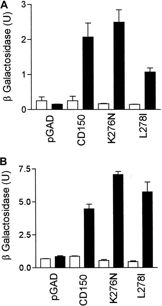 Fig. 7. Leu278 at position −3 in the first SAP binding motif of CD150 partially stabilizes non–phosphotyrosine binding but is not required for phosphotyrosine-dependent interaction. / (A) Yeast 2-hybrid β-galactosidase assay for SAP/CD150 non–tyrosine phosphorylation–dependent interaction with CD150 or CD150 Lys276Asn or CD150 Leu278Ile. ▪, +SAP; ■, +pGBT9. (B) Altered yeast 2-hybrid using a modified Fyn (Fyn2YF R-Q, see “Materials and methods” for details) to phosphorylate CD150. β-Galactosidase assay to measure strength of the SAP/CD150 interaction data are representative of 3 separate experiments. ▪, +SAP + Gyn2YF R-Q; ■, +pBridge.