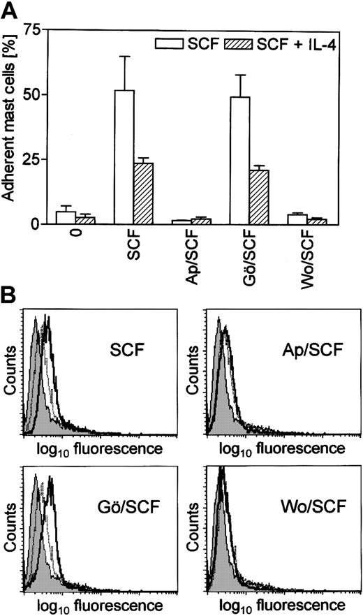 Fig. 6. Effect of apigenin and wortmannin on mast cell adhesion and HUTS-21 β1 expression. / (A) Cells precultured with SCF alone or with SCF and IL-4 were treated for 60 minutes with 20 μM apigenin (Ap), 2 μM Gö 6976 (Gö), 100 nM wortmannin (Wo), or buffer control. Adhesion rates of mast cells stimulated with 100 ng/mL (54 nM) SCF compared to buffer control (0) were determined on fibronectin (means ± SD, n = 4). (B) Cells precultured with SCF alone were treated for 60 minutes with 20 μM apigenin (Ap), 2 μM Gö6976 (Gö), 100 nM wortmannin (Wo), or buffer control and then were incubated with buffer control or stimulated with 100 ng/mL (54 nM) SCF for 30 minutes before the expression of the HUTS-21 epitope was analyzed. Isotype control staining is shown in gray. Dotted lines show the HUTS-21 β1 staining of unstimulated mast cells, full lines after stimulation with SCF. Results of 1 of 3 representative experiments are shown. Mast cell purity was 98% or greater.