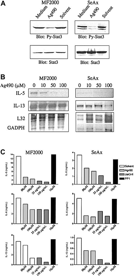 Fig. 2. Effect of Jak3 inhibitors on IL-5 and IL-13 production in MF2000 and SeAx tumor cells. / Treatment with Jak3 inhibitors inhibits IL-5 and IL-13 production in MF2000 and SeAx tumor cells. (A) Ag490 inhibits constitutive Stat3 activation. MF or SeAx cells were incubated for 16 hours in the indicated concentrations of Ag490. Cells were then lysed and analyzed by Western blotting with phosphotyrosine-Stat3 mAb (top) followed by reprobing with total Stat3 antibody (bottom). (B) Ag490 inhibits mRNA for IL-5 and IL-13. Cells were treated with Ag490 as mentioned above before RNA was isolated and analyzed by RNAse protection assay. L32 and GADPH are housekeeping genes. (C) Jak inhibitors inhibit cytokine production. Cells were treated with Ag490, Jak3-II (Jak inhibitors), or PP1 (src kinase inhibitor) for 16 hours. Cytokine production was then measured by ELISA.