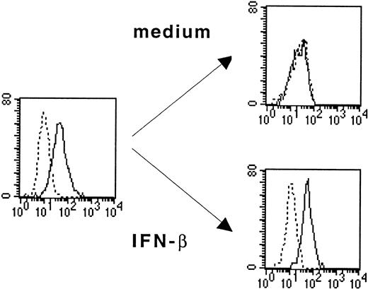 Fig. 1. IFN-β prevents IL-3Rα down-regulation on cultured monocytes. / Monocytes incubated in medium alone or with IFN-β (1000 U/mL) were analyzed by flow cytometry for the expression of IL-3Rα (CD123). Thick lines show FACS profiles after staining with PE-conjugated anti-CD123 antibodies, and dotted lines, FACS profiles after staining with isotype-matched control IgG1. Data are from 1 of 3 representative experiments on different blood donors.