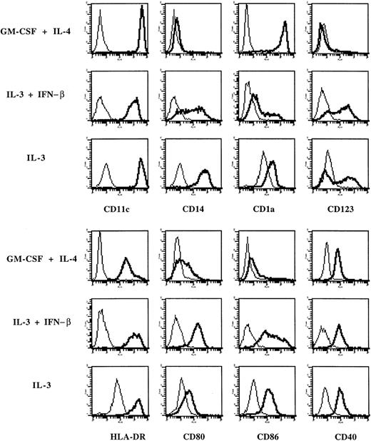Fig. 4. Expression of surface markers on cells derived from monocytes cultured in IL-3 and IFN-β. / Phenotype of monocytes cultured with GM-CSF and IL-4, or IL-3 and IFN-β or IL-3 alone. Thick lines show FACS profiles after staining with specific antibodies, and thin lines, FACS profiles after staining with isotype-matched control antibodies. Data are from 1 of 6 representative experiments on different blood donors.