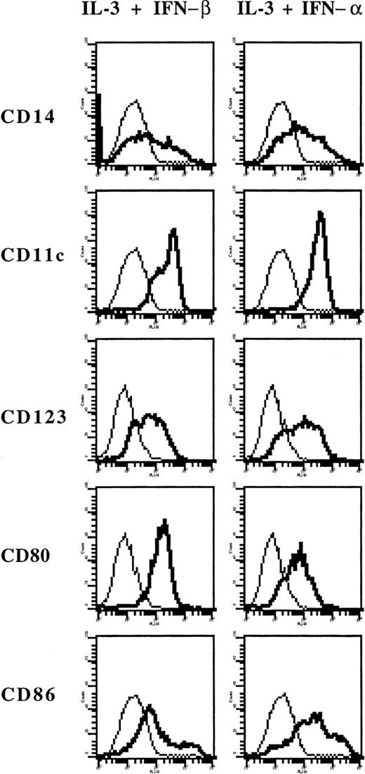 Fig. 5. Expression of surface markers on cells derived from monocytes cultured in IL-3 and IFN-α. / Phenotype of monocytes cultured with IL-3 and IFN-β or with IL-3 and IFN-α. Thick lines show FACS profiles after staining with specific antibodies, and thin lines, FACS profiles after staining with isotype-matched control antibodies.