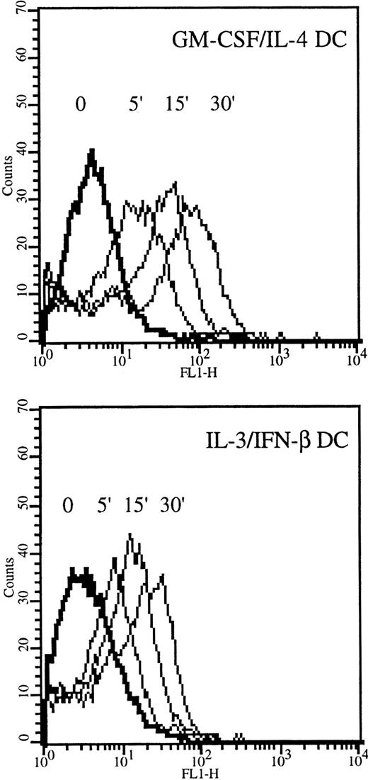 Fig. 6. Internalization of FITC-dextran in IL-3–IFN-β DCs. / DCs grown in GM-CSF and IL-4 or in IL-3 and IFN-β were incubated in medium containing 1 mg/mL FITC-dextran for the indicated times and were analyzed by flow cytometry. Results are from 1 of 3 representative experiments on different blood donors.