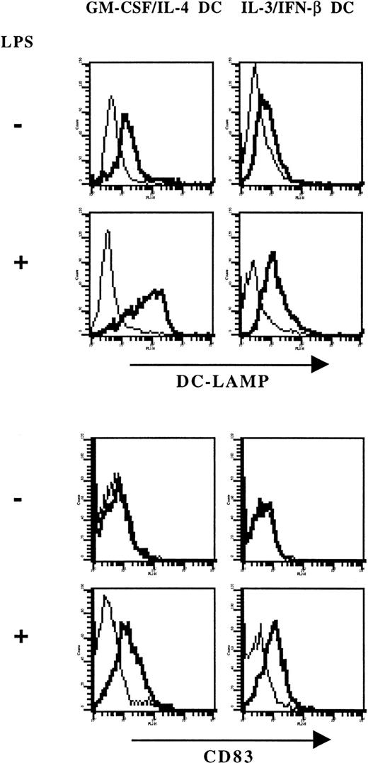 Fig. 7. DC-LAMP and CD83 are expressed on LPS-stimulated IL-3–IFN-β DCs. / Monocytes were cultured with GM-CSF and IL-4 or IL-3 and IFN-β. DCs were then stimulated or not stimulated with LPS (1 μg/mL) for 24 hours. Thick lines show FACS profiles after staining with specific antibodies, and thin lines, FACS profiles after staining with isotype-matched control antibodies. Data from 1 of 2 representative experiments on different blood donors.