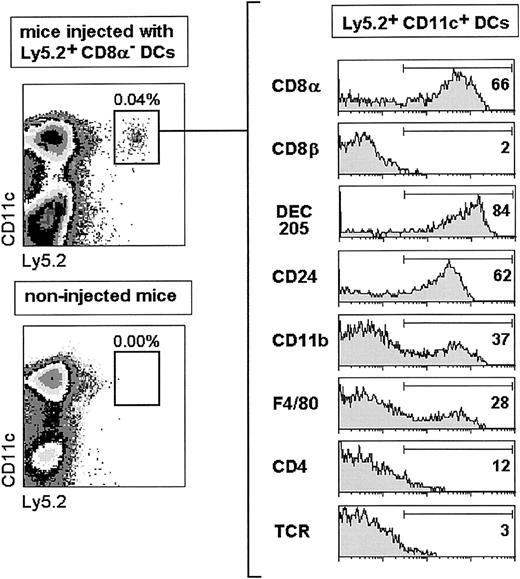 Fig. 3. Analysis of donor-type Ly5.2+ DCs 4 days after transfer of highly purified CD8α− DCs. / The percentage of positive cells for each marker is indicated. TCR expression was used as a negative staining control. Data are representative of 4 independent experiments with similar results.