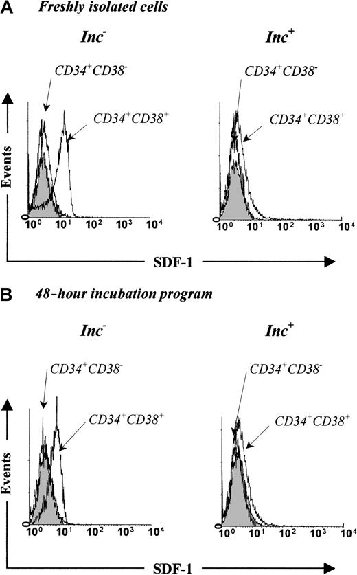 Fig. 6. PB Inc− CD34+CD38+cells express intracellular SDF-1. / Representative flow cytometry profiles for Inc− and Inc+ cells (1 × 105 cells/mL) isolated from freshly purified PB CD34+ cells (A) and apoptosis-induced cells (B) after staining for CD34 and CD38 antigens and intracellular SDF-1 as indicated in “Materials and methods.” The logarithm fluorescence of intracellular SDF-1 is expressed in channel numbers. The shaded histogram shows results from staining with irrelevant isotype-matched control antibody, the open histogram, results from staining with SDF-1 mAb.