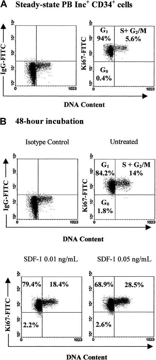 Fig. 11. SDF-1 induces PB Inc+ CD34+cell cycle progression from G1 to S+G2/M. / PB CD34+ cells purified after incubation on a plastic support (Inc+) were incubated (1 × 105cells/mL) in a serum- and cytokine-free Stemα-A medium in presence or absence of SDF-1 (0.01 ng/mL to 0.5 ng/mL). Freshly isolated cells (A) and cells harvested after a 48-hour incubation (B) were processed for cell cycle fractionation by using simultaneous staining for DNA content (PI) and for Ki67 expression as indicated in “Materials and methods.” Arbitrary quadrants were drawn on the basis of isotype-matched negative control profiles (first dot plot of each panel). Maximal effect of SDF-1 was obtained for 0.05 ng/mL. Cell cycle fractionation percentages shown in each histogram were obtained from one experiment representative of the 3 to 4 performed.