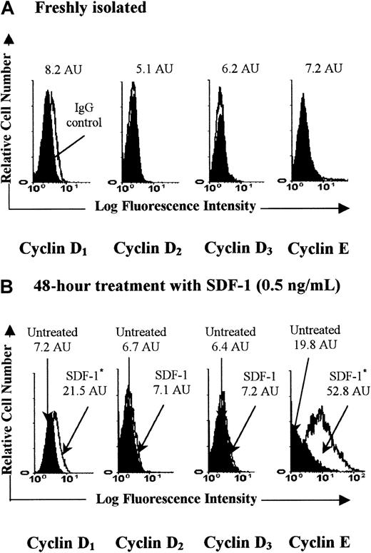 Fig. 12. SDF-1 overexpresses cyclin D1 and cyclin E in PB Inc−CD34+ cells. / PB CD34+ cells purified immediately after density gradient separation (Inc−) were incubated (1 × 105 cells/mL) in a serum- and cytokine-free Stemα-A medium in the presence or absence of SDF-1 (0.5 ng/mL). Freshly isolated cells (A) and cells harvested after a 48-hour incubation (B) were processed for intracellular detection of cyclin proteins as indicated in “Materials and methods.” The logarithm fluorescence of intracellular cyclin proteins is expressed in channel numbers. In panel A, histograms show results from staining with cyclin mAb (open histogram) and results from staining with irrelevant isotype-matched control antibody (solid histogram). Panel B shows histograms from cells stained with cyclin mAb after incubation in presence (open histogram) or absence (solid histogram) of SDF-1. Histograms from a typical donor are presented. The MFI (AU) of positive cells shown for each histogram are for one experiment representative of the 3 performed. Asterisk indicates P < .002 versus untreated cells.