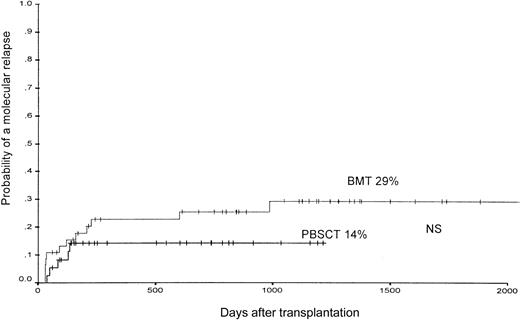 Fig. 4. The probability of the occurrence of a molecular relapse, defined by 2 consecutive positive PCR assays for bcr-abl within a 4-week interval in patients after PBSCT or BMT from unrelated donors.