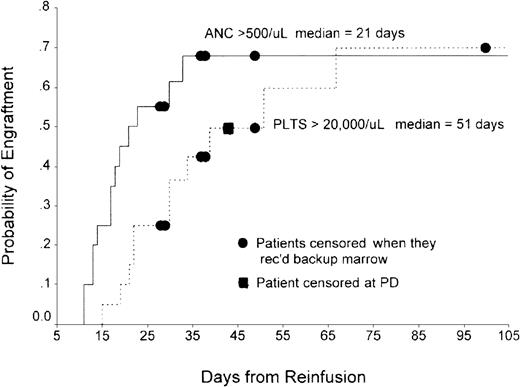 Fig. 2. Time to neutrophil and platelet recovery in patients undergoing transplantation in Philadelphia with ODN-purged marrow. / Probability of engraftment of neutrophils and platelets from time of marrow reinfusion are shown on the ordinate and abcissa, respectively.
