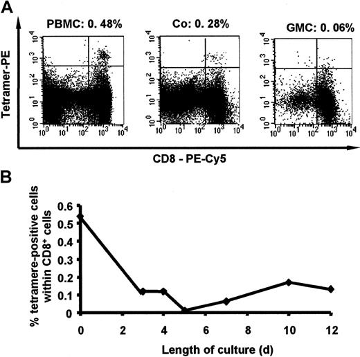Fig. 4. Reduced frequencies of EBV-specific cells in GMCs, as assessed by tetramer staining. / (A) Representative FACS profile of PBMCs, Co cells, and GMCs (donor no. 2) after staining with a PE-labeled HLA-A2/GLC tetramer complex and PC5-CD8 mAb. The fraction of tetramer+ cells (upper right quadrant) within the CD8+ cells (upper and lower right quadrants) are indicated above each dot plot. PBMCs, Co cells, and GMCs generated from donor no. 8 (HLA-A2+, EBV-seronegative) were used to set up the positivity level (not shown). Similar profiles were obtained with 3 additional HLA-A2+ EBV-seropositive donors. (B) Kinetics of tetramer staining during cell culture. PBMCs activated by CD3/IL-2 were cultured in the presence of IL-2 until day 12. Data are from 1 of 4 representative experiments.