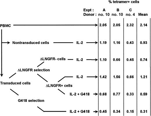 Fig. 9. Comparison of G418 versus NGFR-selected GMCs. / Cells transduced with a ΔLNGFR/Neo-R–coding vector were selected at day 8, either by immunomagnetic sorting and were then cultured for 7 days in the presence of IL-2 or IL-2 plus G418, or were selected for 7 days in the presence of IL-2 plus G418.