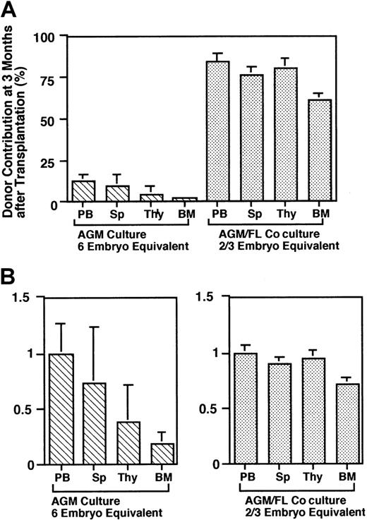 Fig. 6. Donor contribution in hematopoietic tissues. / (A) Recipient mice were killed at 3 months after transplantation, and the levels of the donor contribution in hematopoietic tissues were determined by FACS. (B) Relative contribution of donor cells in various hematopoietic tissues. To compare the contribution of donor cells among various hematopoietic tissues in recipients, the levels of the donor contribution in various tissues relative to that in peripheral blood cells were calculated. The cells from AGM cultures were poorly colonized, particularly in the bone marrow.