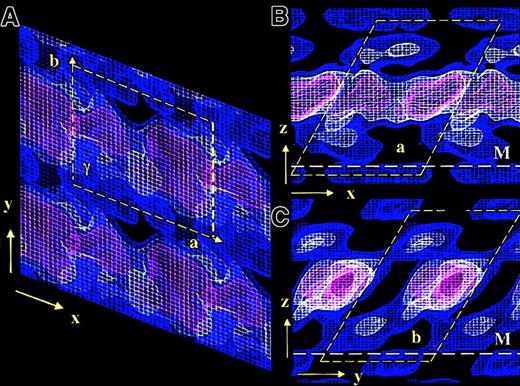 Fig. 2. 3D electron density map of FVIII bound to PL monolayers. / The 3 density contours are blue at 0.4ς, white at 1.1ς , and red at 1.8ς. The density corresponding to one FVIII molecule is delineated by the yellow dashed box. The height of the unit cell above the monolayer is 10 nm. Panel A shows the top view, looking toward the monolayer along the z-axis. The unit cell dimensions are as for the 2D map: a = 8.1 nm, b = 7.0 nm, and γ = 113°. Panels B and C show side-on views along the y-axis and the x-axis, respectively. The white dashed line denotes the membrane surface (M).
