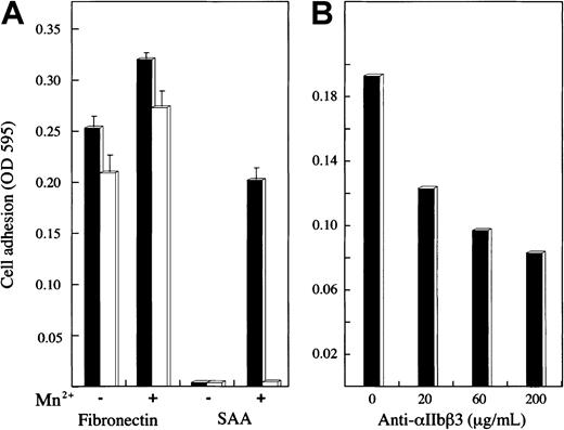 Fig. 6. Adhesion of human melanoma cells expressing platelet integrin receptors. / (A) Two transfected human melanoma cell lines expressing integrin receptor αIIbβ3 (▪) or αVβ3 (■) were added to SAA-, fibronectin-, or BSA-coated wells and tested for their adhesion as described. Before addition onto the wells, cells were preincubated (15 minutes at 37°C) with or without Mn2+ (2 mM). The results are expressed, after subtracting adhesion to BSA, as a mean ± 1 SEM for 3 experiments. (B) The αIIbβ3 cells were added to SAA-coated wells after preincubation with Mn2+ and anti-αIIbβ3 antibody (c7E3Fab) at the indicated concentrations and tested for their adhesion. One representative experiment of 2 performed is shown.